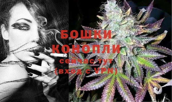дживик Корсаков