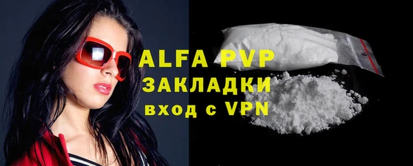 дживик Корсаков
