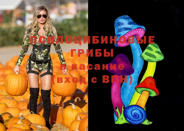 меф Коряжма
