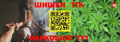 тгк Гусев