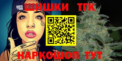 тгк Гусев