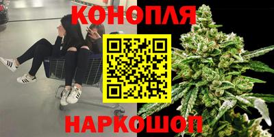 тгк Гусев
