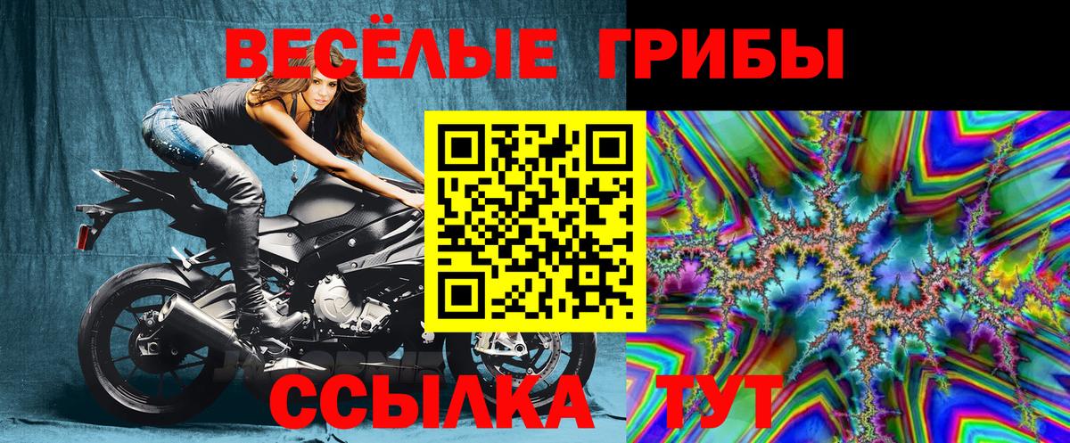 где найти наркотики  Железногорск  Галлюциногенные грибы Cubensis  Псилоцибиновые грибы ЛСД 