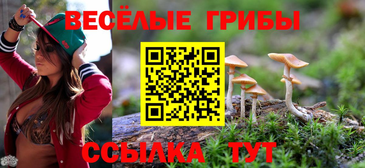 Железногорск  Галлюциногенные грибы Magic Shrooms  Вход с VPN 