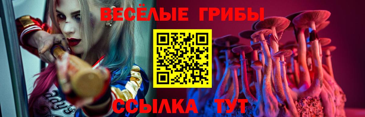 Галлюциногенные грибы MAGIC MUSHROOMS Железногорск